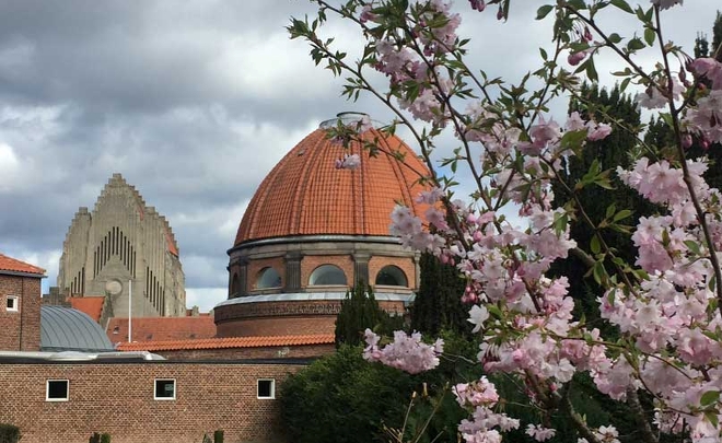 Arkitektur og Sakura i Nordvest